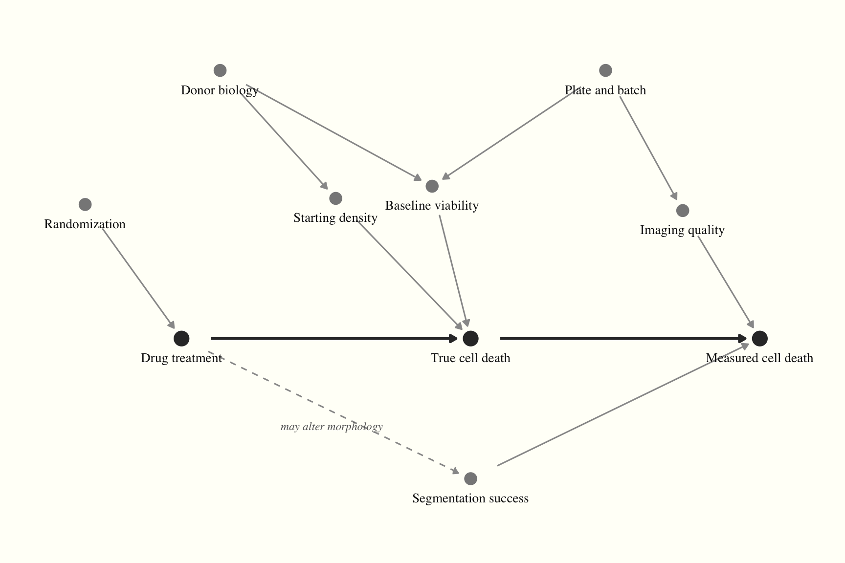 A directed acyclic graph connects randomization, donor biology, and plate and batch conditions through treatment, viability, density, imaging, true cell death, and segmentation to measured cell death.